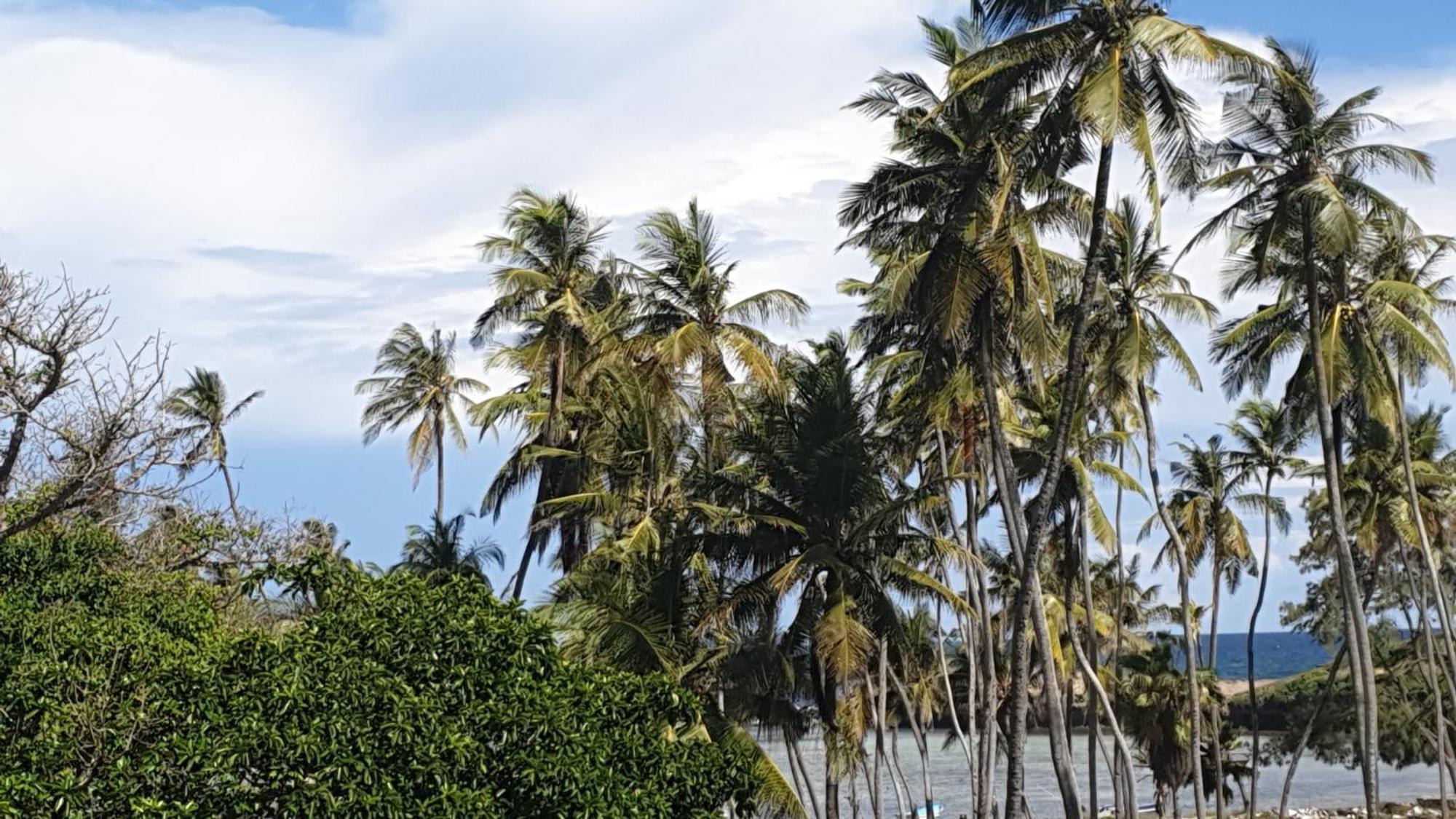 Marijani Holiday Resort Watamu Ngoại thất bức ảnh